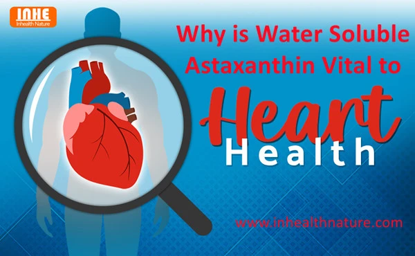 Why is Water Soluble Astaxanthin Vital to Heart health