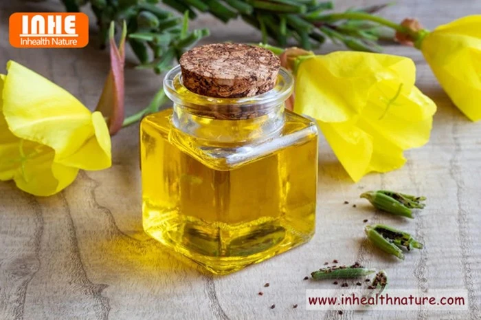 Evening Primrose Oil