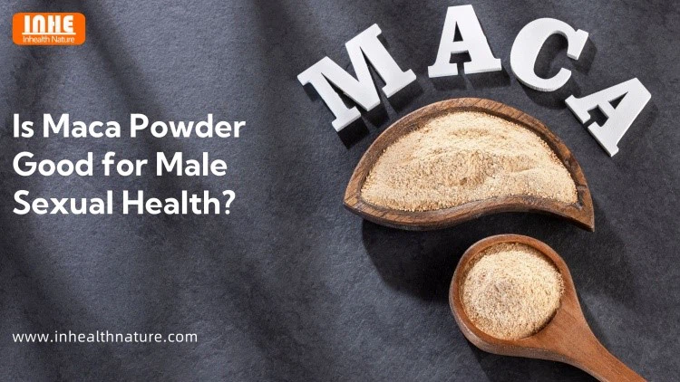 Is Maca Powder Good for Male Sexual Health